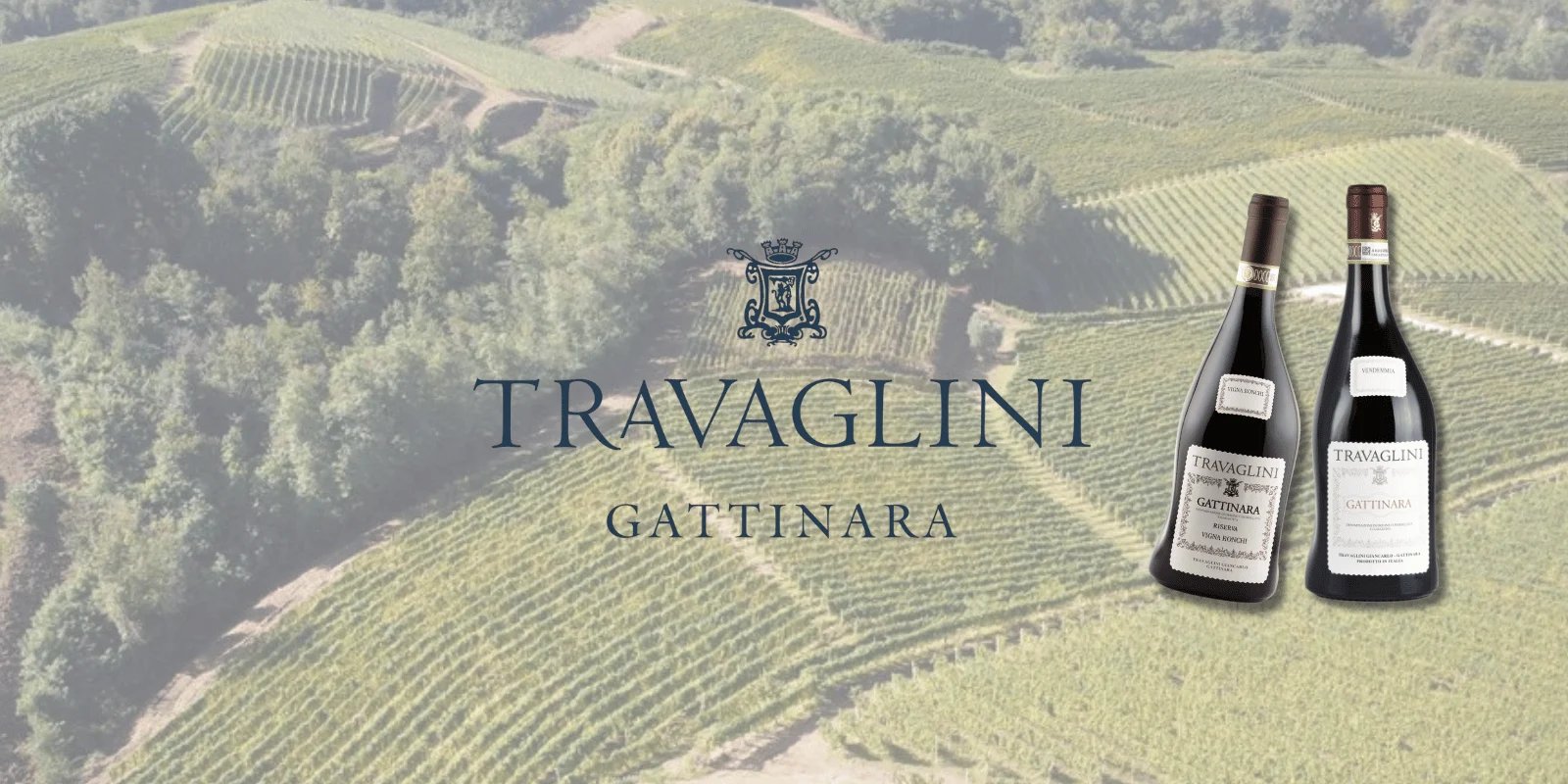 A Sensory Journey into the Travaglini Winery