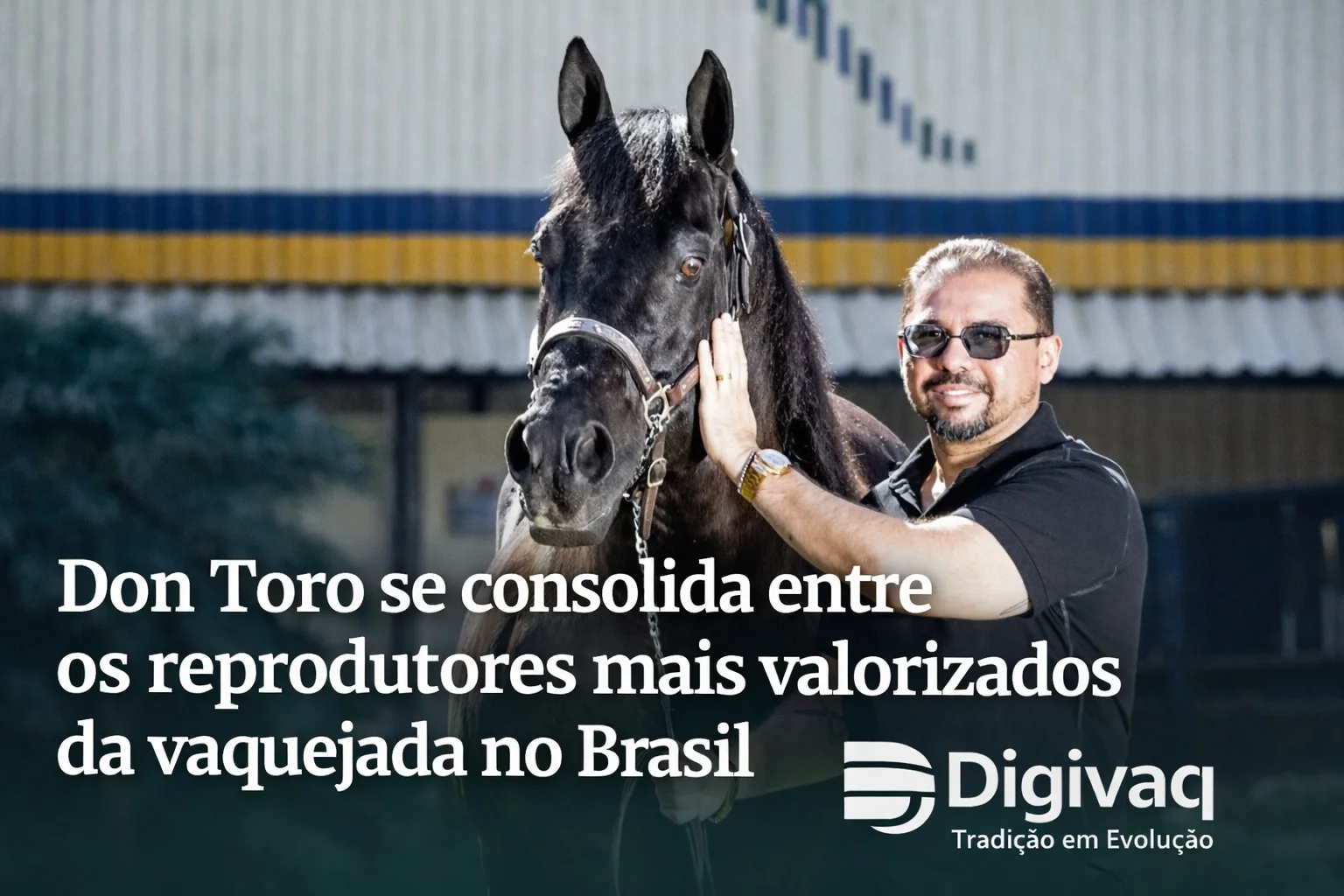 Don Toro se consolida entre os reprodutores mais valorizados da vaquejada no Brasil