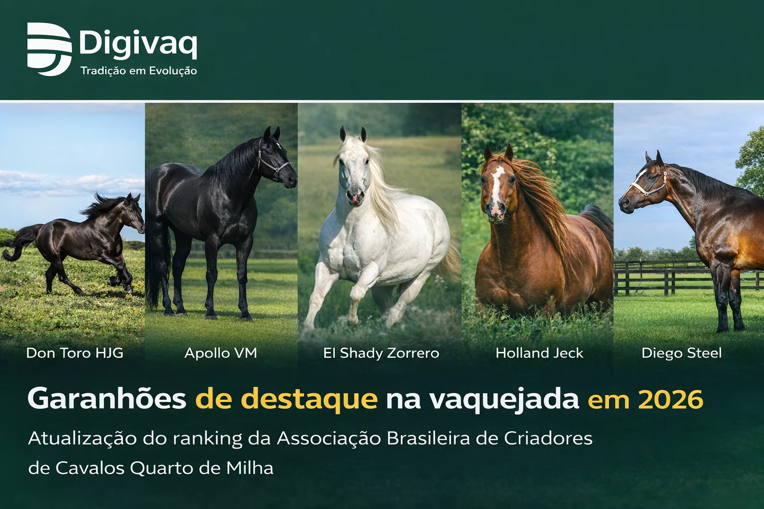 Ranking de Reprodutores da Vaquejada 2026: genética de elite domina as pistas brasileiras